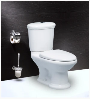 Bồn cầu hai khối, nắp êm - CD1331