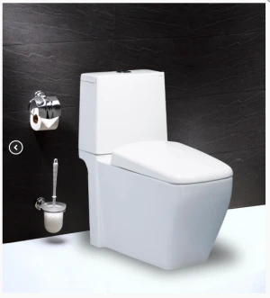 Bồn cầu hai khối nắp êm - CD1346