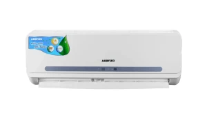 Điều hòa Asanzo 1 chiều 12000BTU S12N66