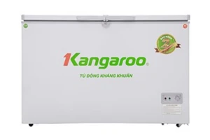 Tủ đông Kangaroo 256 lít KG 388C2