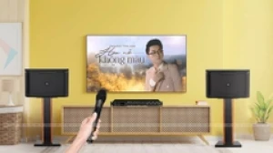 Dàn Karaoke LA 210 (Loa JBL RM210 Vang số MK ES 350 Plus Micro MK E-300 Sub 12Al)