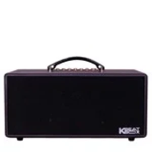 Loa xách tay Acnos KS363H