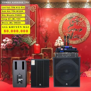 Bộ Âm Thanh Karaoke Gia Đình TPA K12Pro