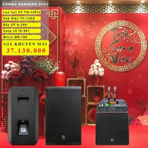 Dàn karaoke gia đình CF Audio CF01