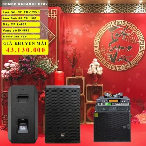 Dàn karaoke gia đình CF Audio CF02