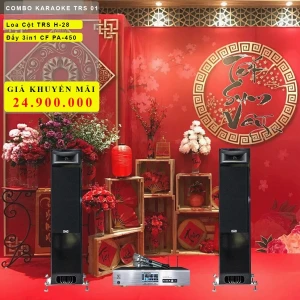 Dàn karaoke gia đình TRS Audio TRS01