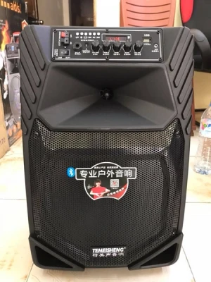 Loa Kéo Temeisheng A12-8