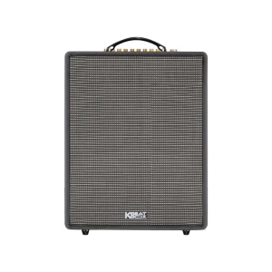 Loa Acnos CS552 Plus