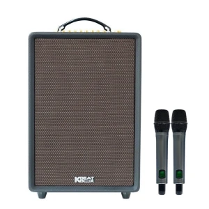 Loa Acnos High Fidelity Pro