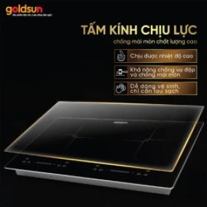 Bếp từ đôi Goldsun GDI7461