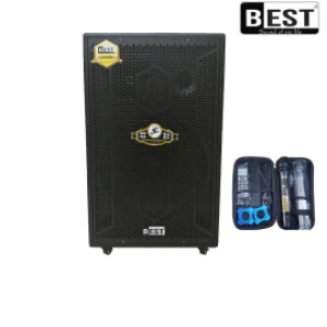 Loa kéo di động BESTZ40 ( Bass 40, Công suất 500w, 2 mic ), ko kèm remote
