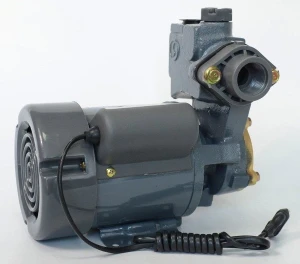 Selton Máy bơm nước chân không 150BE