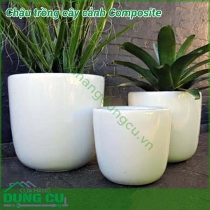 Chậu trồng cây cảnh Composite