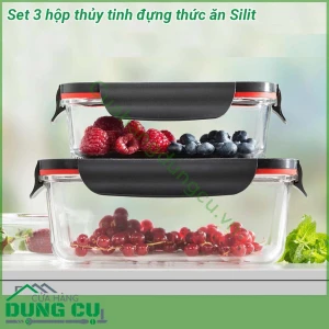 Set 3 hộp thủy tinh đựng thức ăn Silit