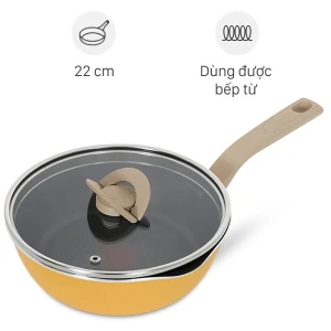 Chảo nhôm sâu chống dính đáy từ nắp kính 22 cm Tefal G1802524