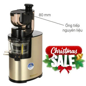 Máy ép chậm BlueStone SJB-6578