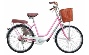 Xe Đạp Đường Phố City Thống Nhất LD 24-02 24 inch