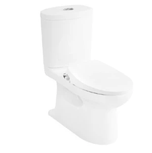 Bồn Cầu Hai Khối American Standard VF-2719S Nắp Rửa Slim