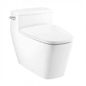 Bồn Cầu Một Khối Cotto C101907 Hercules Curve Xả Gạt