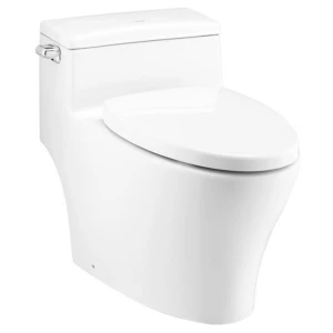 Bồn Cầu Một Khối Cotto C10347 Pause