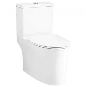 Bồn Cầu Một Khối COTTO C105607 | Xả thằng kết hợp xả xoáy