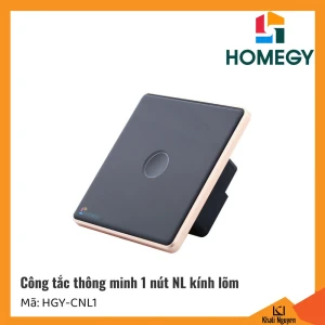 Công tắc thông minh Homegy HGY-CNL1 | 1 nút NL kính lõm | Hình vuông