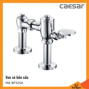 Van xả bồn cầu Caesar BF525A (dùng cho bồn cầu xổm)