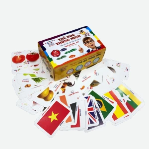 Thẻ học thông minh song ngữ 16 chủ đề, 416 thẻ flash card 10 7 cm