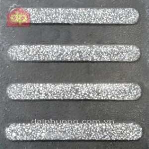 Gạch Lát Terrazzo Dẫn Hướng