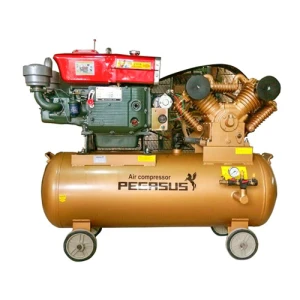 Máy nén khí chạy dầu Pegasus TM-W-1.6/8-500L
