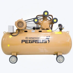 Máy nén khí dây đai Pegasus TM-W-2.0/8-500L