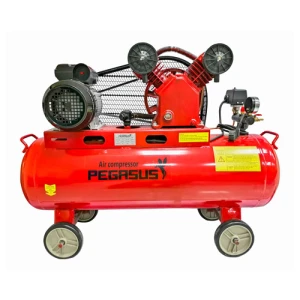 Máy nén khí Pegasus TM-V-0.17/8-70L
