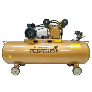 Máy nén khí Pegasus TM-V-0.25/8-120L