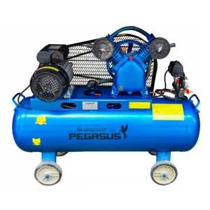 Máy nén khí Pegasus TM-V-0.25/8-70L