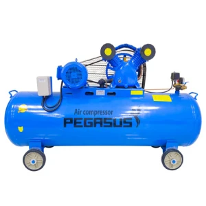 Máy nén khí Pegasus TM-V-0.6/8-330L