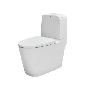 Bồn cầu 2 khối inax AC-832VN Aqua Ceramic