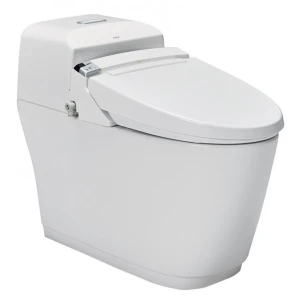 Bồn Cầu Điện Tử INAX AC-1032 + CW-KA22AVN