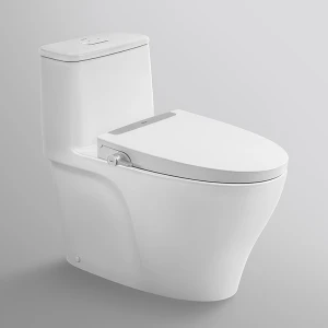 Bồn Cầu INAX AC-989/CW-S32VN Nắp Rửa Cơ