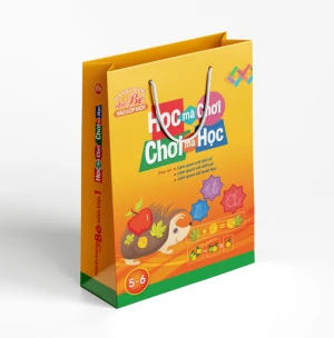 Sách: Học Mà Chơi, Chơi Mà Học Dành Cho Trẻ 5 Đến 6 Tuổi - Túi 6 Cuốn
