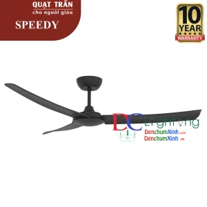 Quạt trần trang trí khu bể bơi - Quạt trần SPEEDY 56 MB lắp Showroom nội thất - BH Động cơ 10 năm - Đèn chùm xinh - phân phối sỉ và lẻ đèn trang trí - led TPHCM