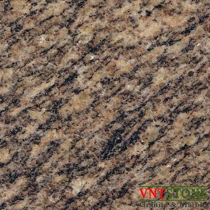 Đá Granite Vàng Da Báo