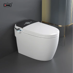 BỒN CẦU THÔNG MINH AKHOA 841E