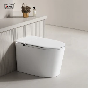 BỒN CẦU THÔNG MINH AKHOA 845E