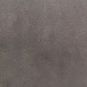 Gạch lát nền Prime 60 60 9208