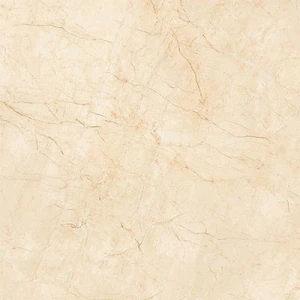 Gạch lát nền Prime 60 60 9856