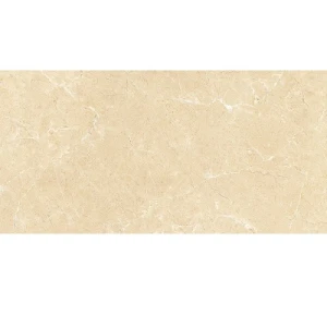 Gạch lát nền Ý Mỹ 60 120 P6128009