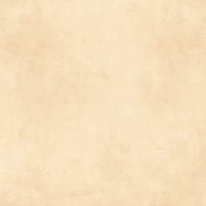 Gạch lát nền Ý Mỹ 60 60 N65002H