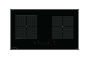 BẾP TỪ EU-T888GE (SILVER)