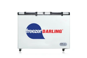 Tủ đông Darling 260 lít DMF-3999 W2