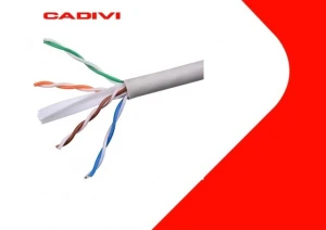 Dây cáp mạng cat6 Cadivi